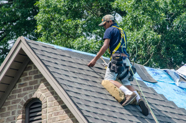 Best Roof Maintenance Services  in Colville, WA